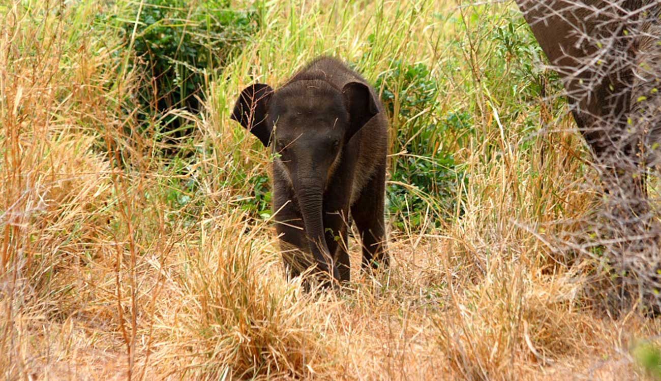 Main02